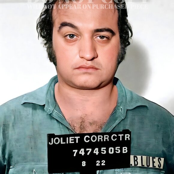 John Belushi Mugshot Photograph 11 X 15 | Blues Brothers Mug Shot | Poster Print - Picture 2 of 2